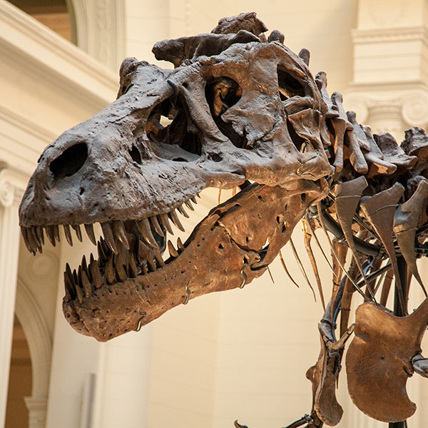 Haverstraw King's Daughters Public Library